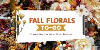 BC Bold Autumn Playlist